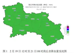 商丘出现雨、冰粒、雪等复杂天气 积雪最深4.3cm图片