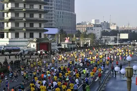 2024郑州马拉松报名开启 10月27日CBD鸣枪开跑图片