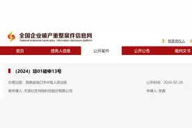 天涯社区被申请破产审查  一年前已暂停访问图片