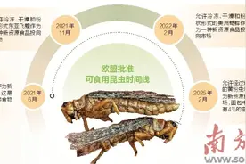 “以虫为食”，噱头还是方向？图片