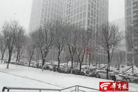 积雪13厘米！陕西一地突降暴雪；为何西安突现鹅毛大雪？专家解读→图片