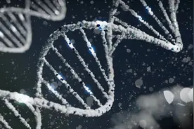 男性基因正在消失?两篇 Nature 揭示人类Y染色体的遗传奥秘……图片