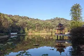 诗歌｜山里山外图片