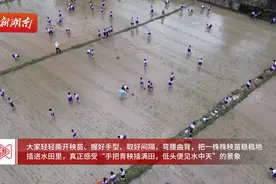 永州双牌2000余名学子走进田间课堂 体验农耕生活图片