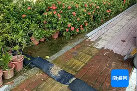 地下渗水流到路面无人管 三亚“三位一体”督促解决图片