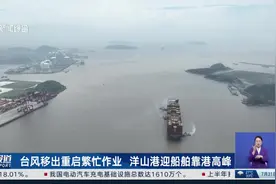 台风“竹节草”远离 申城白天风雨明显减弱