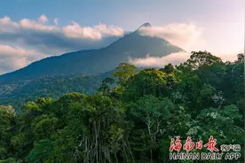 五指山“生态文学周”：以绿为笔 共绘生态新画卷图片
