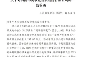 V观财报｜华英农业收监管函：担保及财务资助未及时审议、信披图片