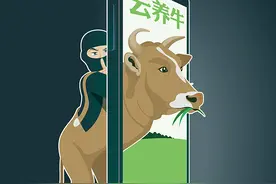 揭秘“云养牛”背后的非法集资骗局图片