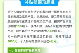 最新补贴细则来了！快收藏这份东莞家装厨卫“焕新”指南图片