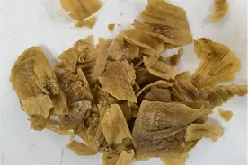 常用中药100味｜鸡内金：小小鸡胃里的养生智慧图片