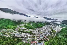 七年观察：留坝的抉择图片