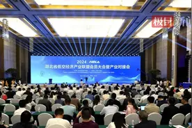 投资5.5亿元打造飞行基地，汉阳低空经济蓄势高飞图片