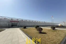 打造“鱼果共生”新模式！探访国内首个“工农互补”农业产业园 | 沿着水网看山东图片