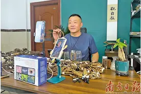 外地人念起沉香生意经图片