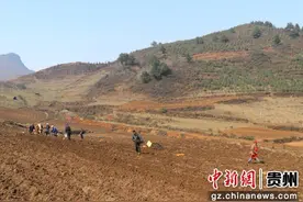 贵州赫章：兴发乡马铃薯种植示范基地掀起春种热潮图片