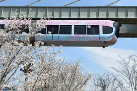 光谷空轨换上“樱花新装”图片