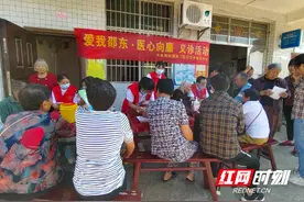 邵东市：联合义诊送健康　清廉医风扬正气图片