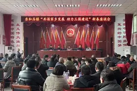 平舆县东和店镇“共谋家乡发展 助力三园建设”新春座谈会召开图片