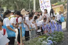 粤港澳大湾区花展+亲子游园：“阅享南湾”系列户外活动好评满满图片