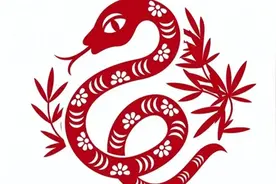 蛇年话蛇图片