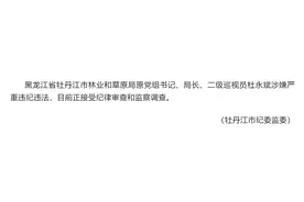 黑龙江省牡丹江市林业和草原局原党组书记、局长、二级巡视员杜永斌被查图片