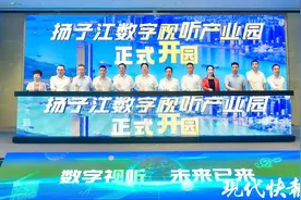 竞逐数字视听产业新赛道，扬子江数字视听产业园正式开园图片