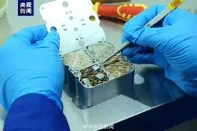 中国航天员带回实验样品有助疾病预防图片