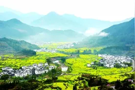 江西婺源：油菜花开艳 诗情画意浓图片