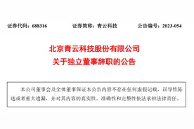 北京青云科技股份有限公司独立董事任英、赵卫刚辞职图片