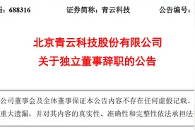 北京青云科技股份有限公司独立董事任英、赵卫刚辞职图片