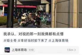 上海“新地标”居然是一只哈士奇？脸上还带着蒙娜丽莎般微笑图片