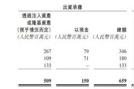 市值缩水超4300亿元，持续加码BC电池能否拯救隆基绿能？图片