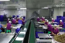 “跨境物流+跨境电商+外贸驿站” “真金白银”护航中小微电商企业“出海”图片