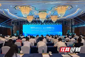 邵阳市大健康产业高质量发展招商推介会举行图片