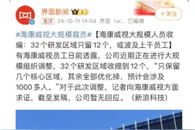 海康威视大规模裁员？公司回应：不存在，是经营策略调整图片