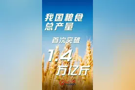 可视化丨我国粮食总产量首次突破1.4万亿斤图片