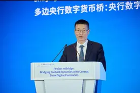 央行陆磊：多边央行数字货币桥有利于解决跨境支付难点痛点图片