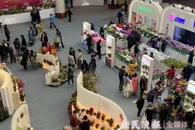 爆款年宵花荟萃，2025迎春花展集结申城爱花人图片