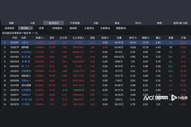 首提大胆资本！深圳国资板块活跃，深城交、深振业A等涨停图片