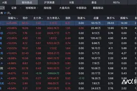首提大胆资本！深圳国资板块活跃，深城交、深振业A等涨停图片
