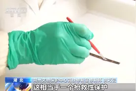发现最早乘法口诀！ 湖北荆州秦家咀墓地出土大量战国楚简图片