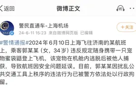 乘客私带仓鼠登机致航班延误引热议，宠物乘机需要办哪些手续？图片