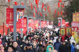 多维数据勾勒春节消费活力图景 | 新京报社论图片