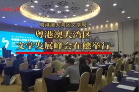 名家汇聚，粤港澳大湾区文学发展峰会在穗举行图片