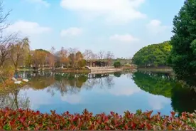 沪上城市公园再增36座，徐汇有这些→图片