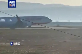 韩国公开空难发生前8分钟细节：客机机体与大量鸟类相撞！务安机场跑道“致命土墙”将被拆除图片