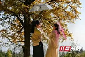 层林浸染 古韵浮邱迎来最佳观赏期图片