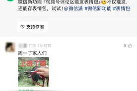 微信又上新！网友已经“斗起来”了图片
