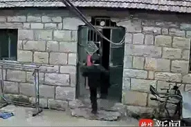 警惕这种戴硅胶面具的人！已有人报案……图片